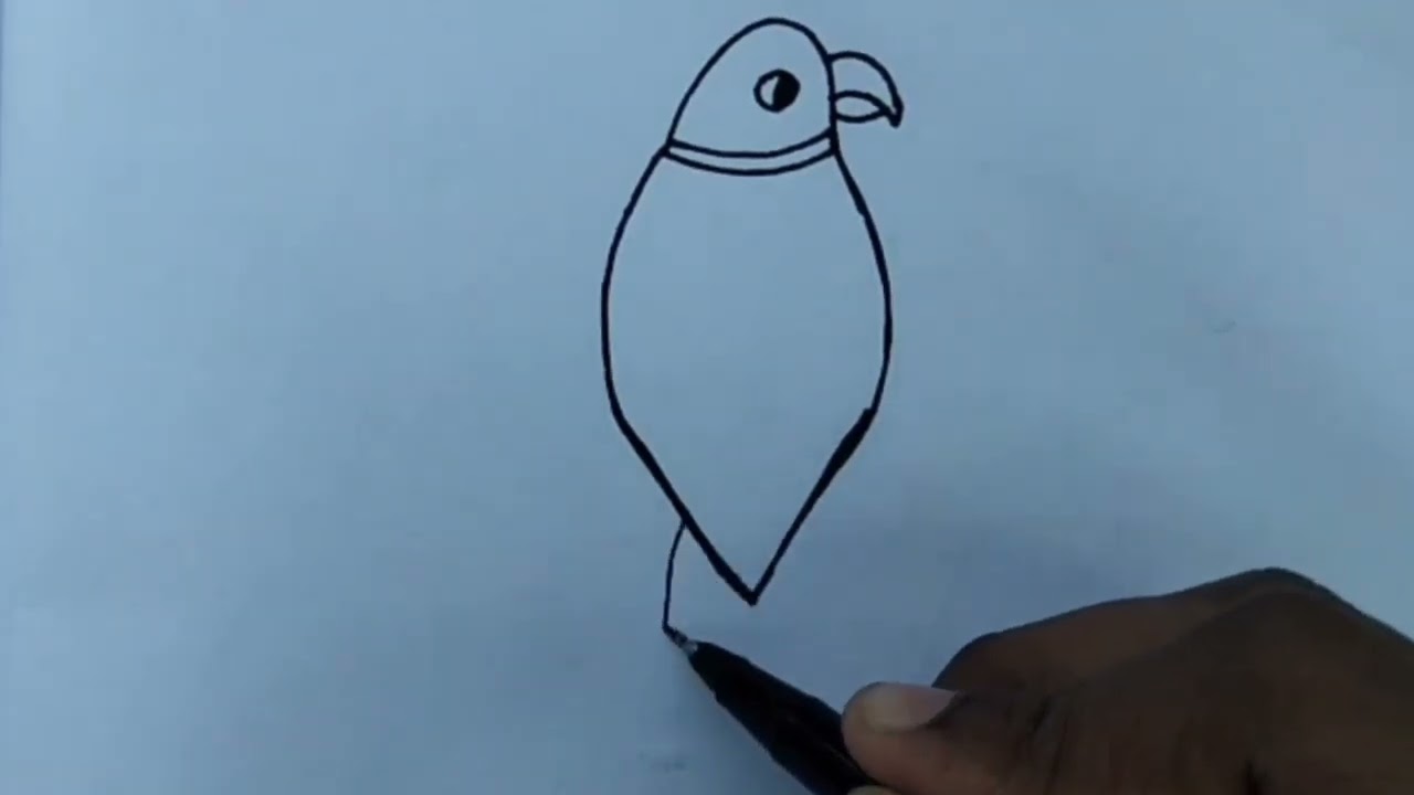How to draw Parrot Drawing from Letter V | Parrot Drawing Easy 🦜 | Parrot Drawing for Beginners 🦜