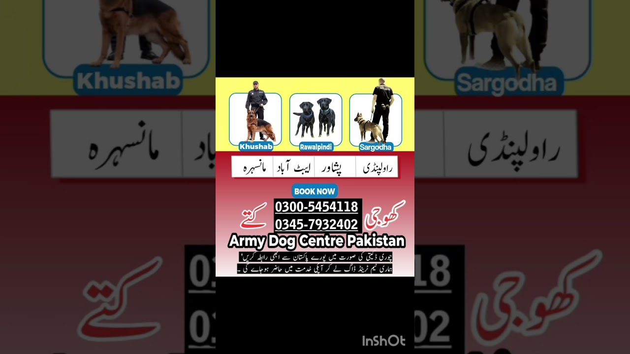 Army dog center Abbottabad / khoji dog center Peshawar Mansehra / khoji kutta kpk