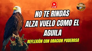 NO TE RINDAS - NACISTE PARA VOLAR ALTO Reflexiones de vida