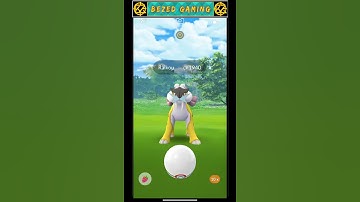 Caught Weather boosted raikou || Pokemon go || weather boosted raid