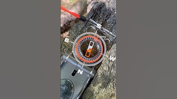 Survival Skills: Make a Compass With a Needle #survival #bushcraft #camping #lifehacks