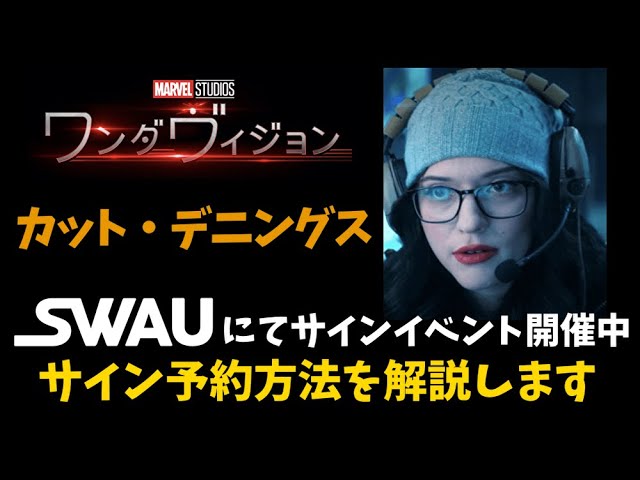 MARVEL ヴィジョン ポール・ベタニー 直筆サイン入り 写真 【公式通販】