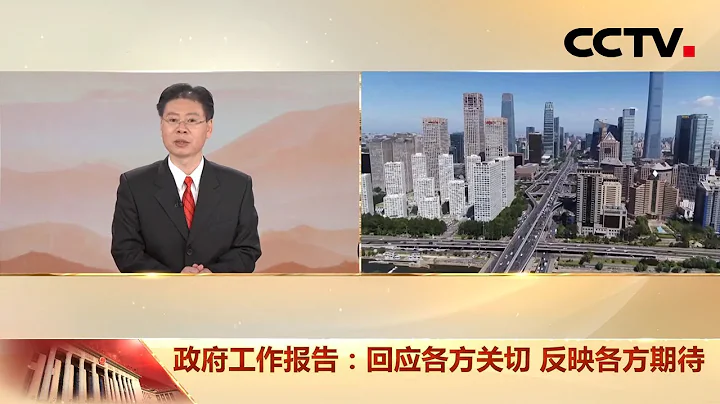 2021政府工作报告怎么读？起草组专家为你划重点！| CCTV“两会你我他” - 天天要闻