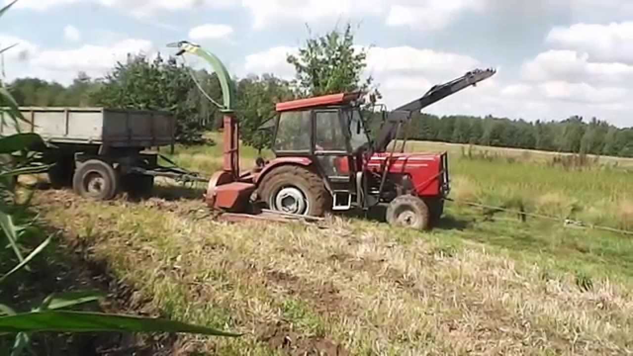 Kukurydza 2014 Trudne Warunki  Ursus c360 3512  Dźwiek silnka