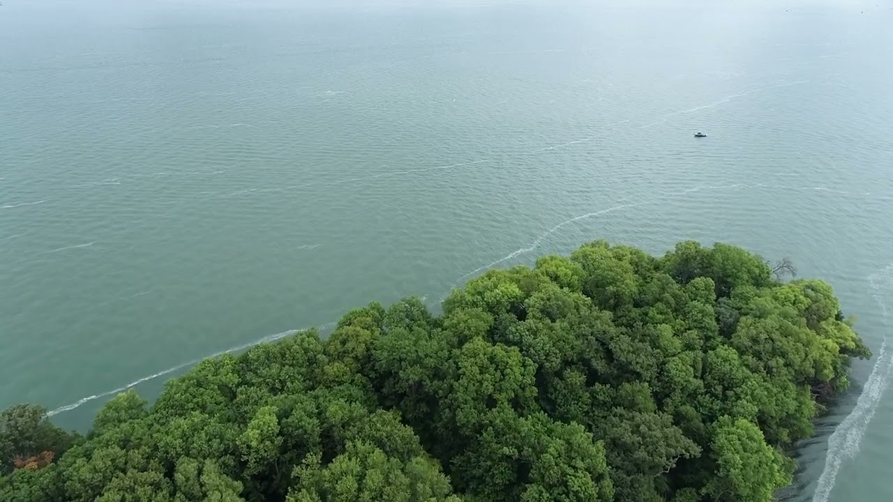 MOUSE ISLAND FLIGHT PART 2