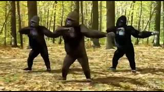 #gothwal Papro ki chutti pad gyi nani k jaunga | #Digital_Guchdu | Moj Playlist