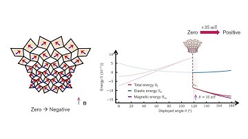Physics-aware differentiable design of magnetically actuated kirigami for shape morphing: Video 7