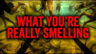 That Chlorine Pool Smell ISN'T Chlorine - The Disturbing Truth