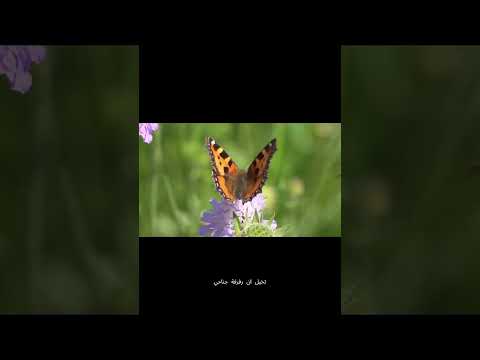 القصة التي سوف تغير طريقة تفكيرك للاشياء