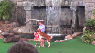 Animal Actors on Location - Universal Studios - 2012 - Florida Phlash Backs @FloridaPhlashBacks