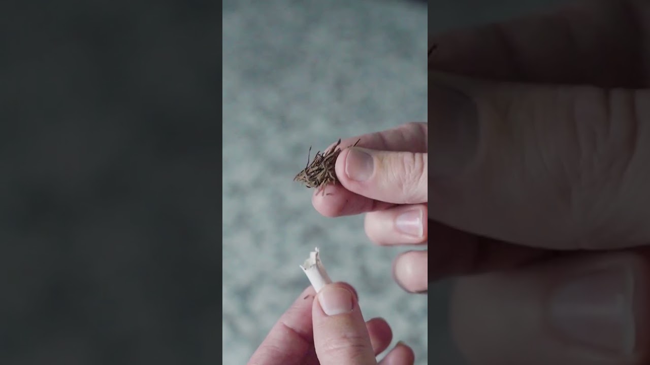 I Tried Hollywoods FAKE Cigarettes🚬