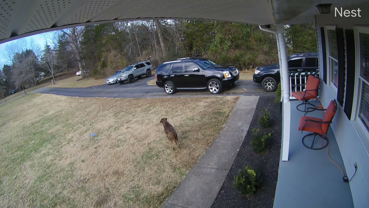 Spark Driver reviews: Driver hit and run | PissedConsumer.com