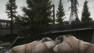 Hey catch. Last kill for Polikhim hobo EFT.