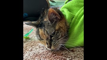 Subcutaneous fluids Tutorial