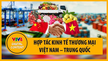 Hợp tác kinh tế thương mại Việt Nam – Trung Quốc | VTV4