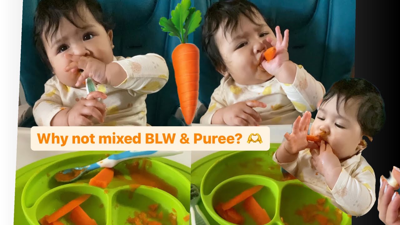 Baby’s Carrot Eating Journey From BLW to Puree to BLW again Baby