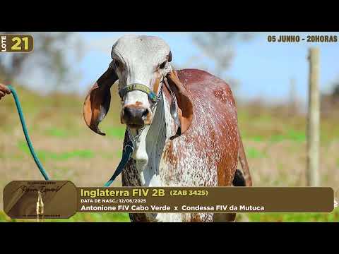 LOTE 21   ZAB 3425