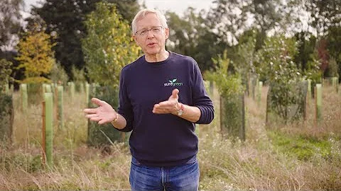 Busting myths about 'sustainable' tree shelters - DayDayNews