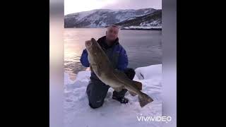 Fishing bodo