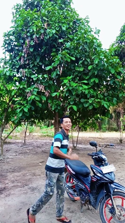 asyikin aja 🤣 @Sorotan