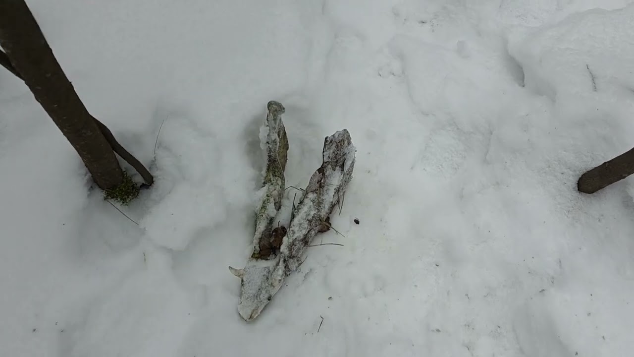 Tragiczny czas na pusto. Zrzuty 2026.