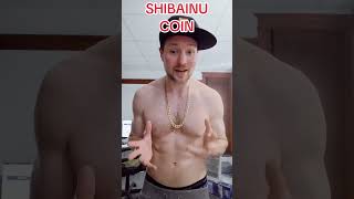 Its time to invest in shibainu coin. #shibainu #shibainucoin