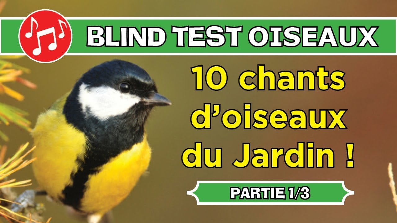 BLIND TEST : 10 chants d'Oiseaux du Jardin ! (Partie 1 sur 3)