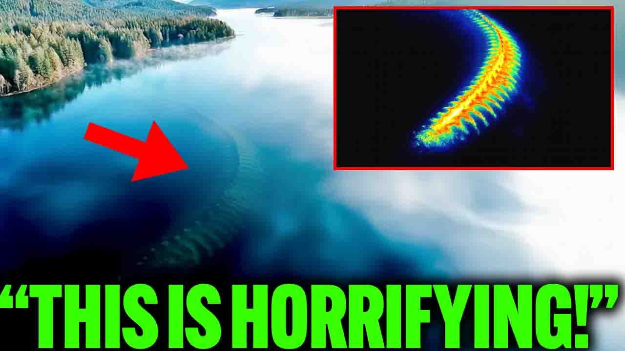 Miniatura del video: Google’s Deep Scan of Alaska Exposed New ‘Jaws’, it Could Eat a Great White Shark Whole