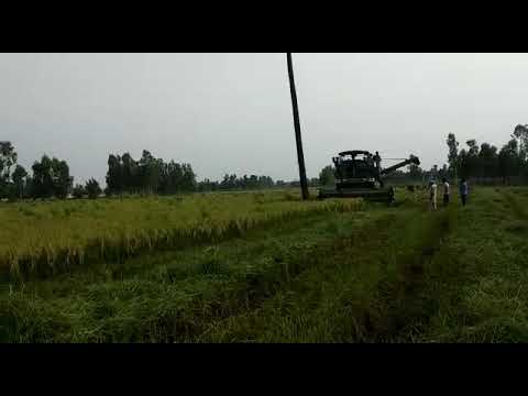 Simran Combine | Combine Harvester | Nabha