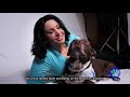 Saving Da Hoomans with Suzanne from CBS 2 and PAWS Chicago