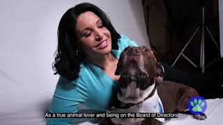 Famous Saving Da Hoomans with Suzanne from CBS 2 and PAWS Chicago Net Worth