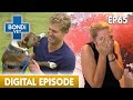 Last Chance Operation to Save Young Dog 😢 | Full Episode | E14 | Bondi Vet