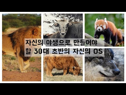 IT취업상담 2부 보안솔루션엔지니어의 클라우드 보안전문가 전직계획 자신의 야생과 인생 OS It취업 커리어 정보보안 정보보안전문가 클라우드 