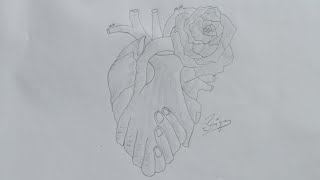 Easy Heart Drawing Pencil Darw Heart Step By Step Draw