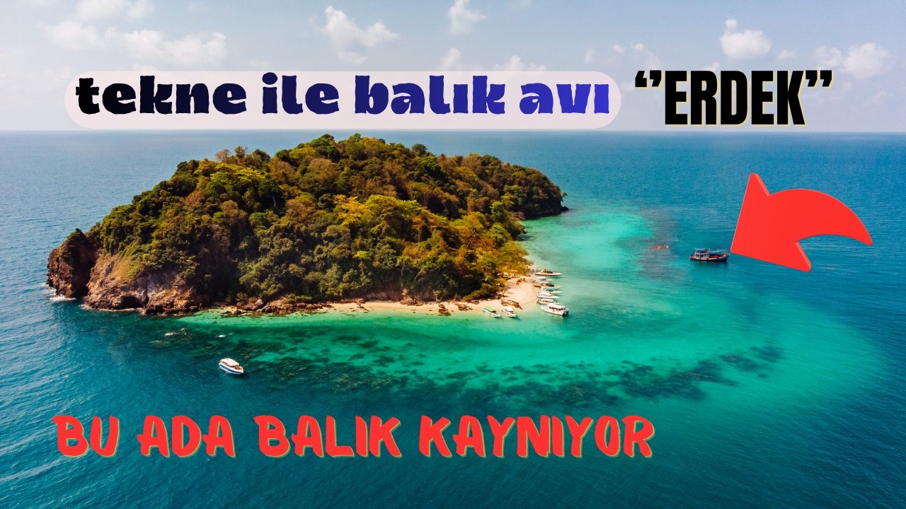 ERDEK/ tekne ile balık avı! akvaryum gibi deniz( BOL BALIKLI )