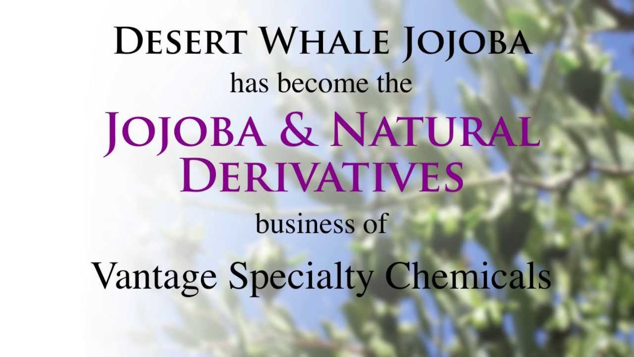 Lipo Chemicals Suppliers' Day 2013