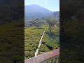 Guess the Location 📍🇮🇳 #beautifulnature#nature#views#hills#hillstation#greenery#summer#india
