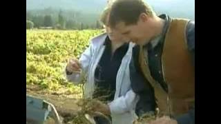 Sunday Special 20021117  #001