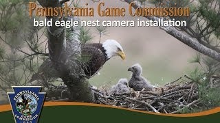 Hays Bald Eagle Nest camera installation