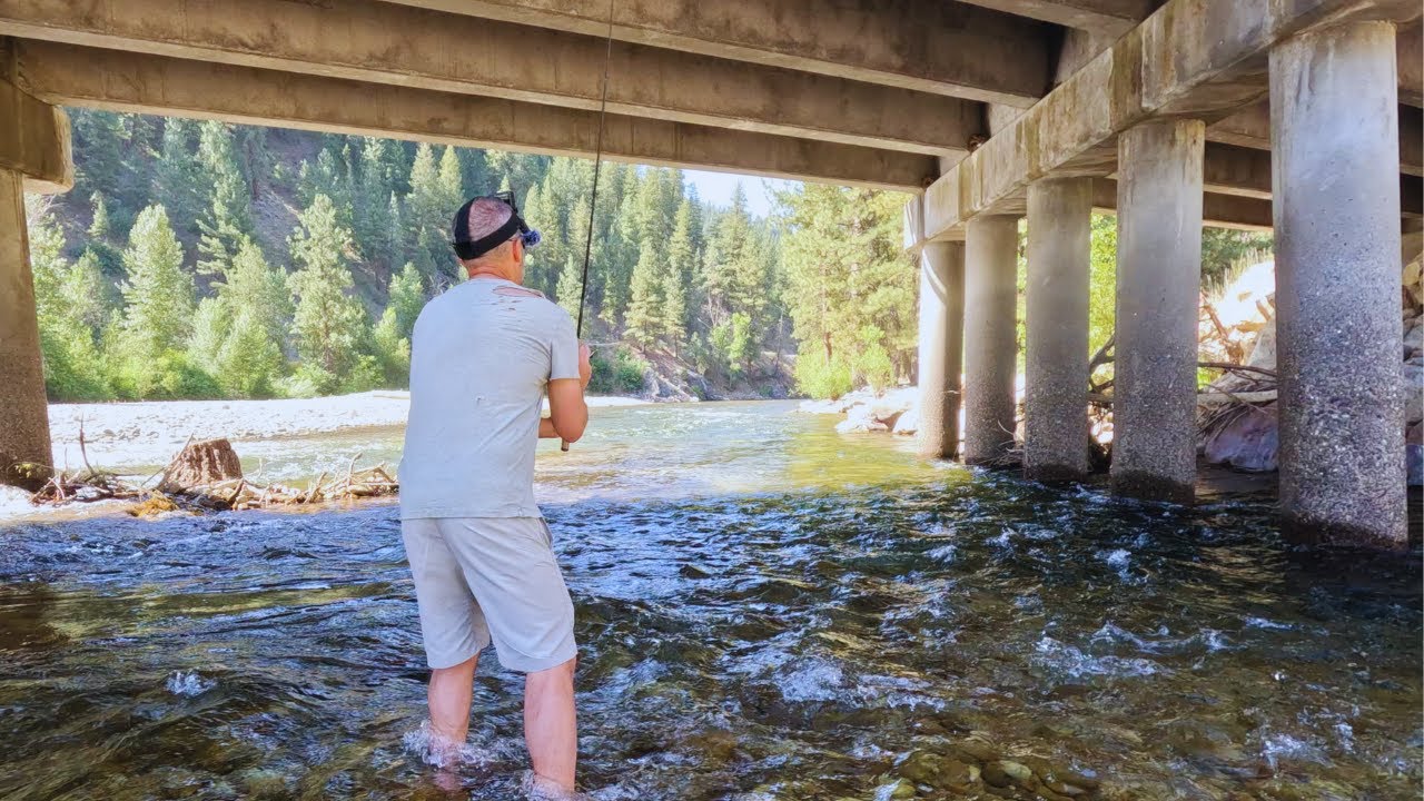 Под этим мостом плавает ОГРОМНАЯ форель
