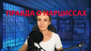 видео: Как выбраться из отношений с нарциссом. Понимание ситуации созависимости. Логика против нарушенных картинка: Как выбраться из отношений с нарциссом. Понимание ситуации созависимости. Логика против нарушенных
