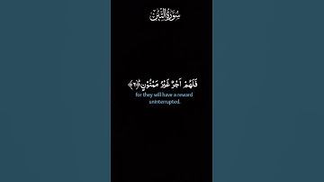 #سورة #التين #القرآن_الكريم #اكسبلور #راحة_نفسية