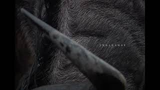 "YONK" - Drake, Wizkid, Justin Bieber, Billie Eilish TYPE BEAT