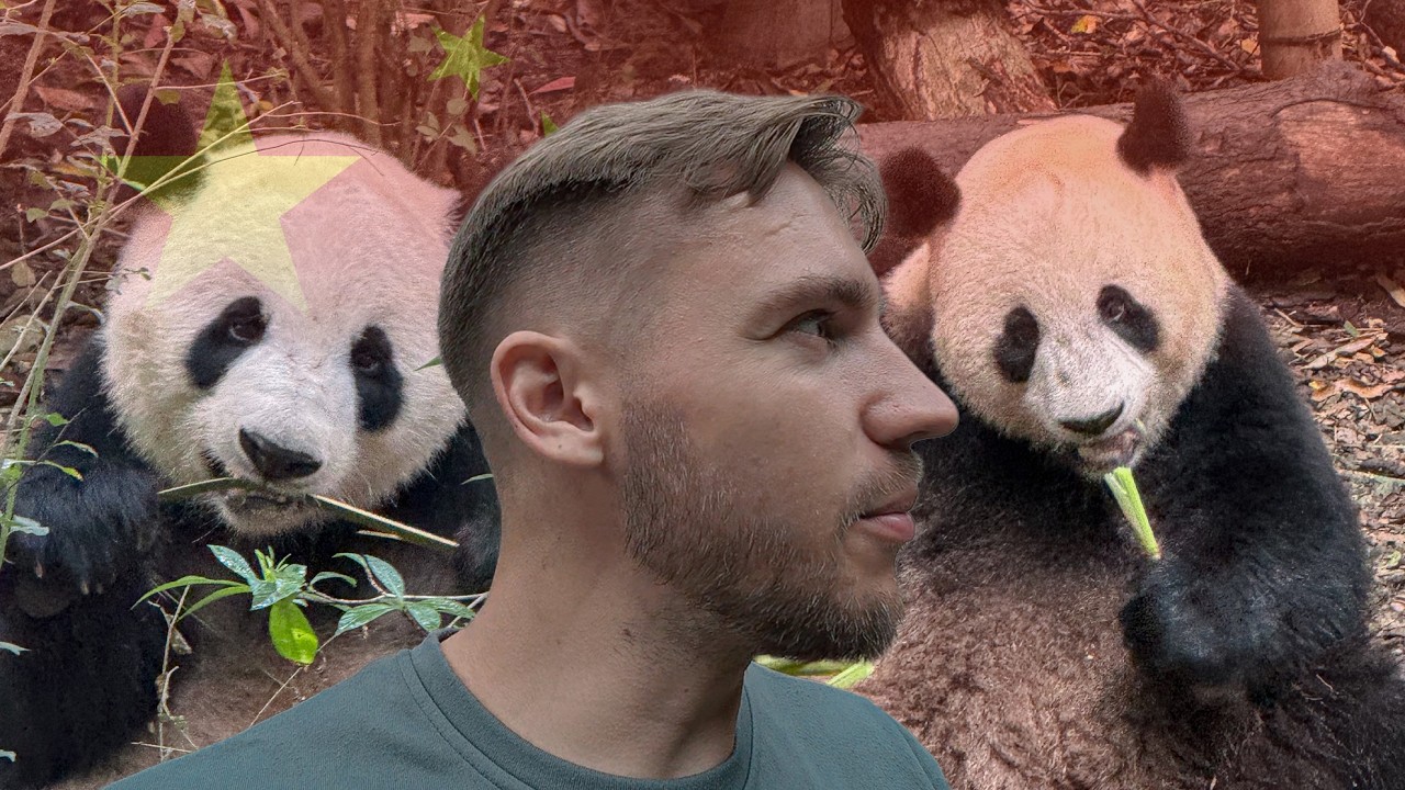 video PANDŲ MIESTAS KINIJOJE