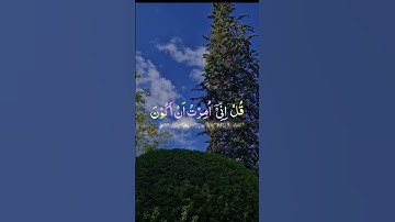 🌺القرآن الكريم 🌺ما تيسر من سورة الأنعام