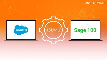 GUMU™ Integration for Salesforce with Sage 100 ERP