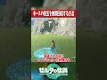 キースの目玉を無限に回収する方法!!『ゼルダの伝説ティアーズオブザキングダム』 #shots