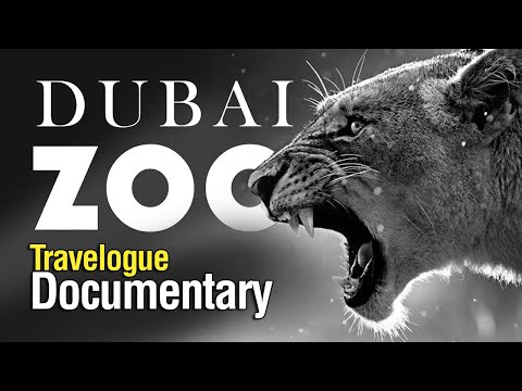 DUBAI ZOO | JAISON'S FAVORITES | 2020