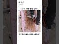 수직 기둥 등판 장비 #tool #mechanics #climbing #safety #gear