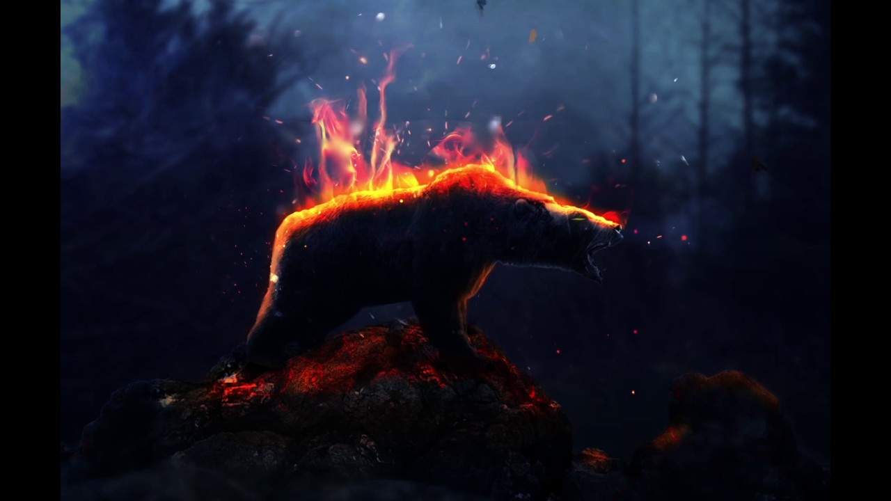 Dead of the bear - After Effect